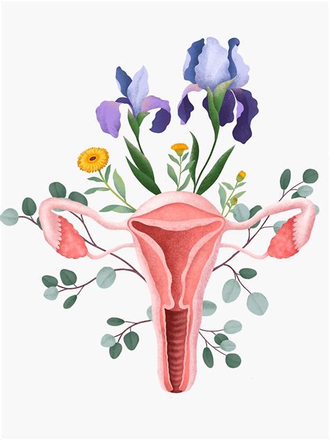 Curse Uterus: Breaking the Cycle of Pain